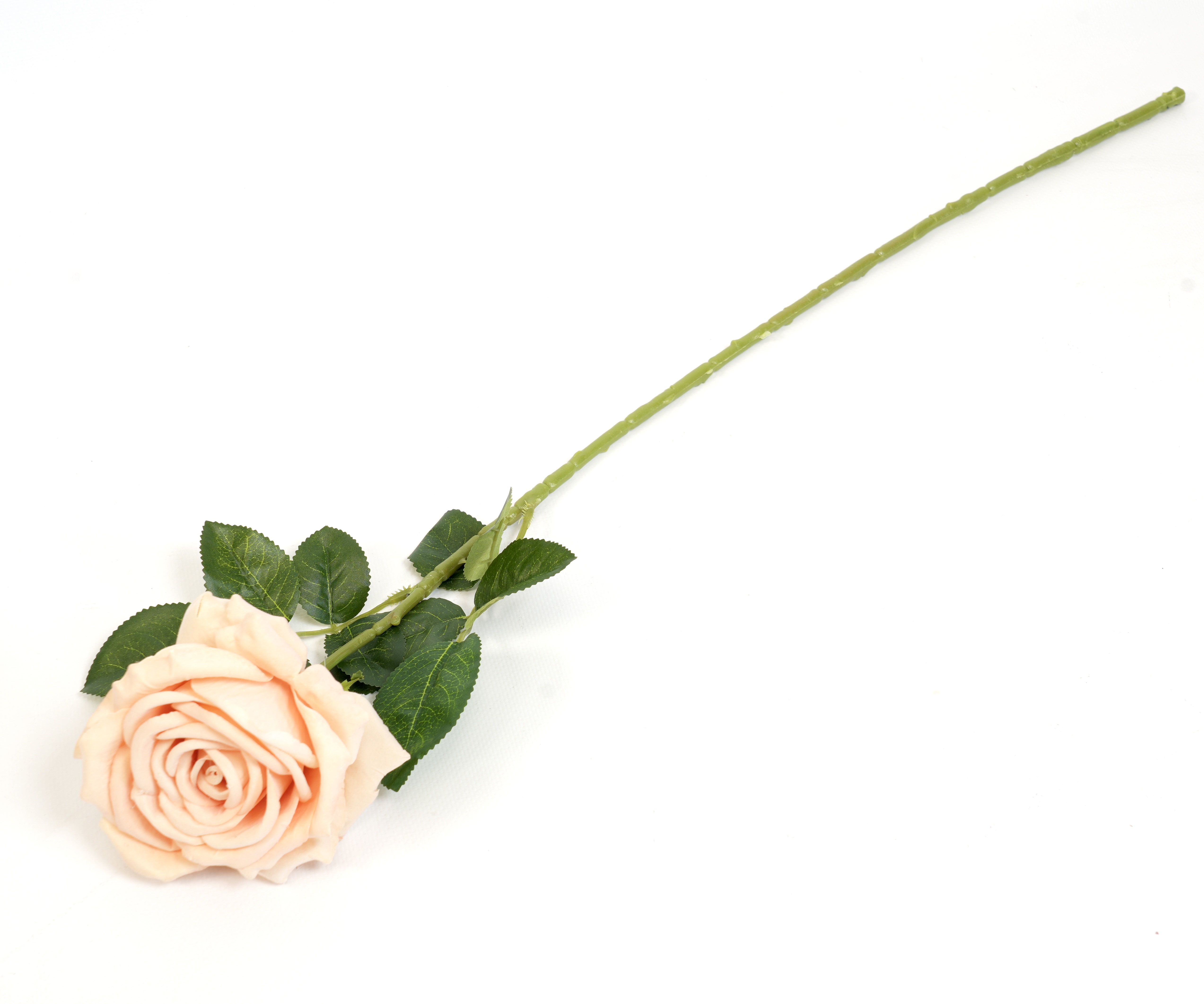 RÓŻA POJEDYŃCZA KWO2298-2