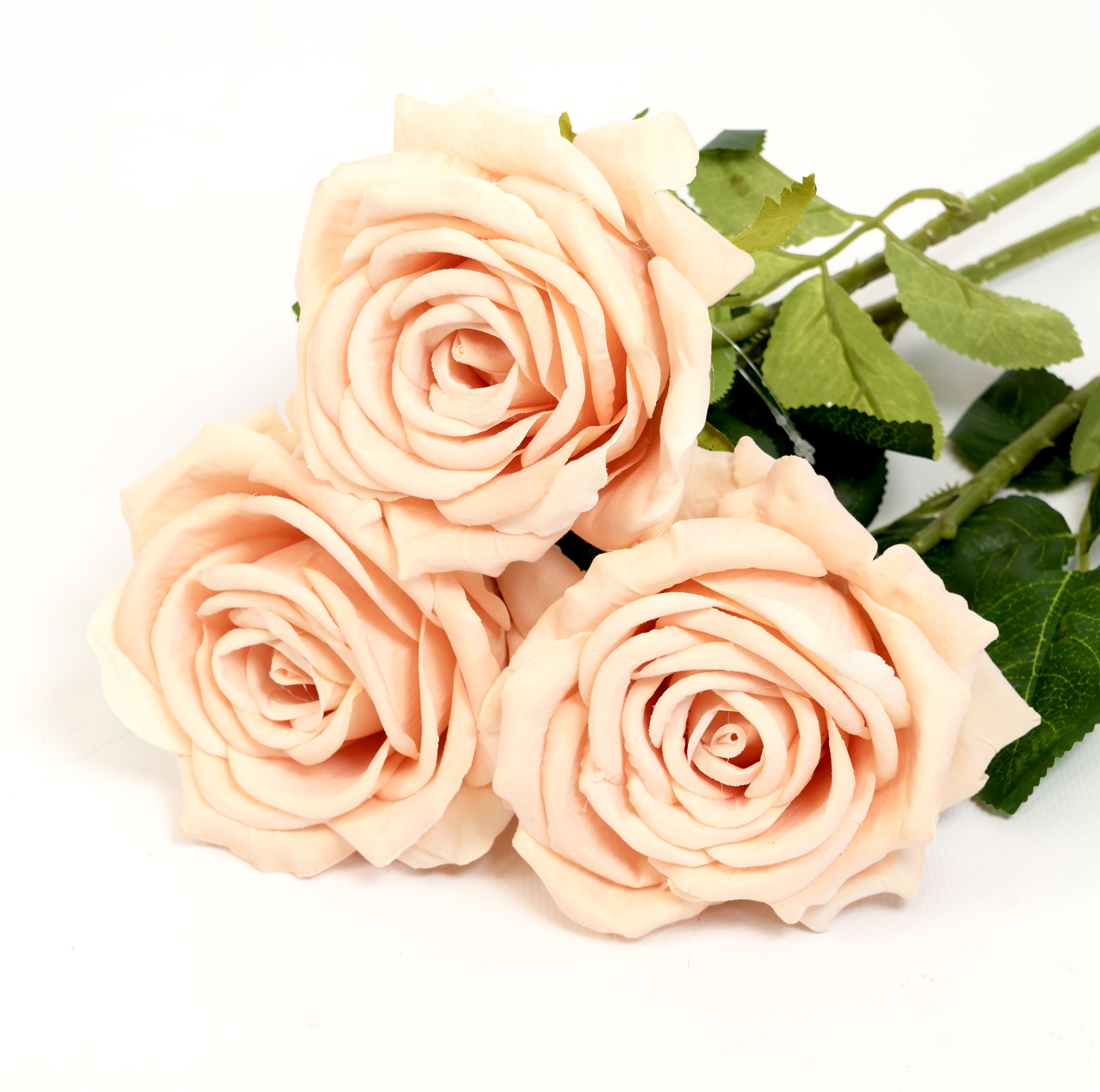 RÓŻA POJEDYŃCZA KWO2298-2 1