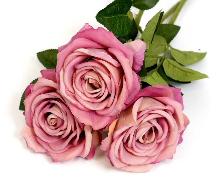 RÓŻA POJEDYŃCZA KWO2298-5A 1