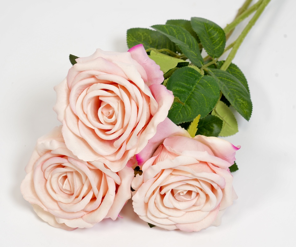 RÓŻA POJEDYŃCZA KWO2298-5 1