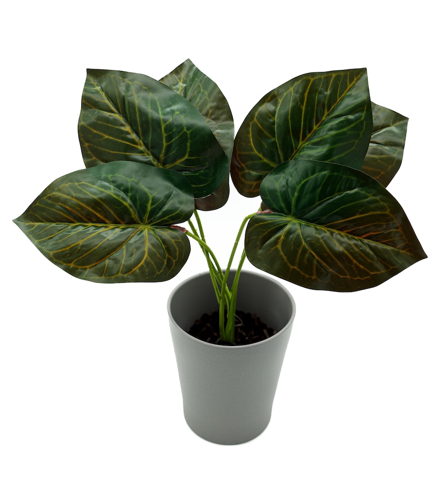 LIŚĆ DODATEK-KWL271 1