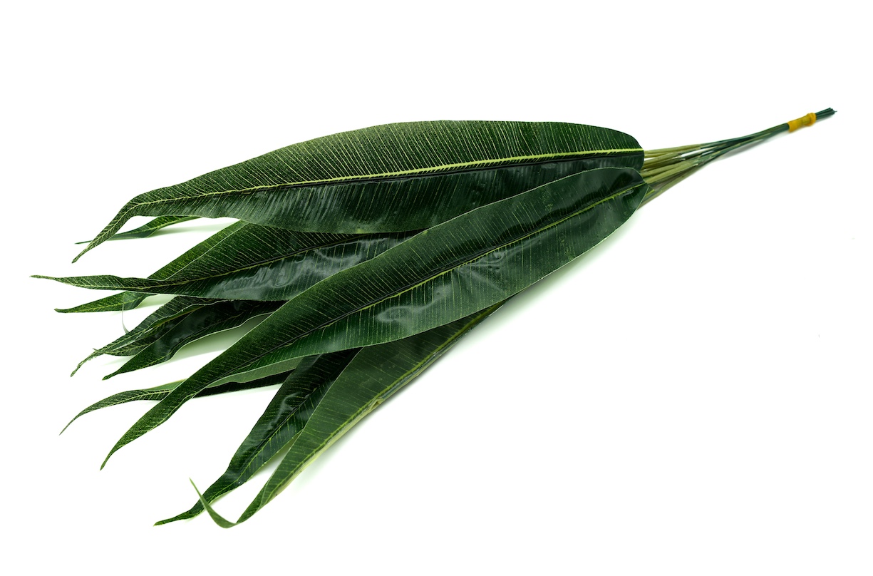 LIŚĆ DODATEK-KWL255 1