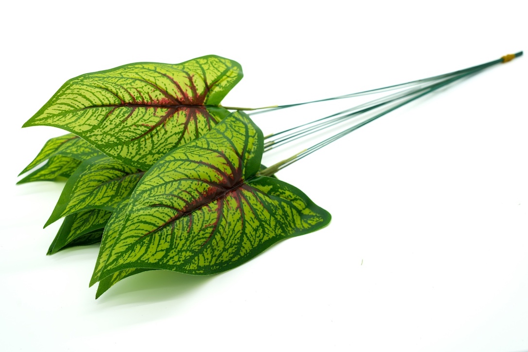 LIŚĆ DODATEK-KWL256 1