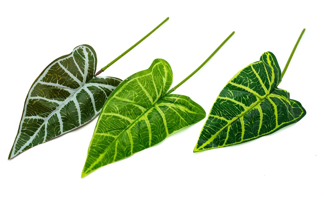 LIŚĆ DODATEK-KWL268 1