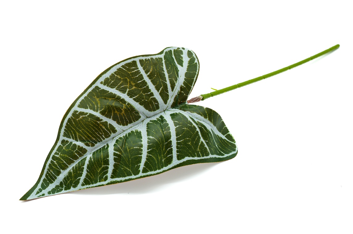 LIŚĆ DODATEK-KWL268 1