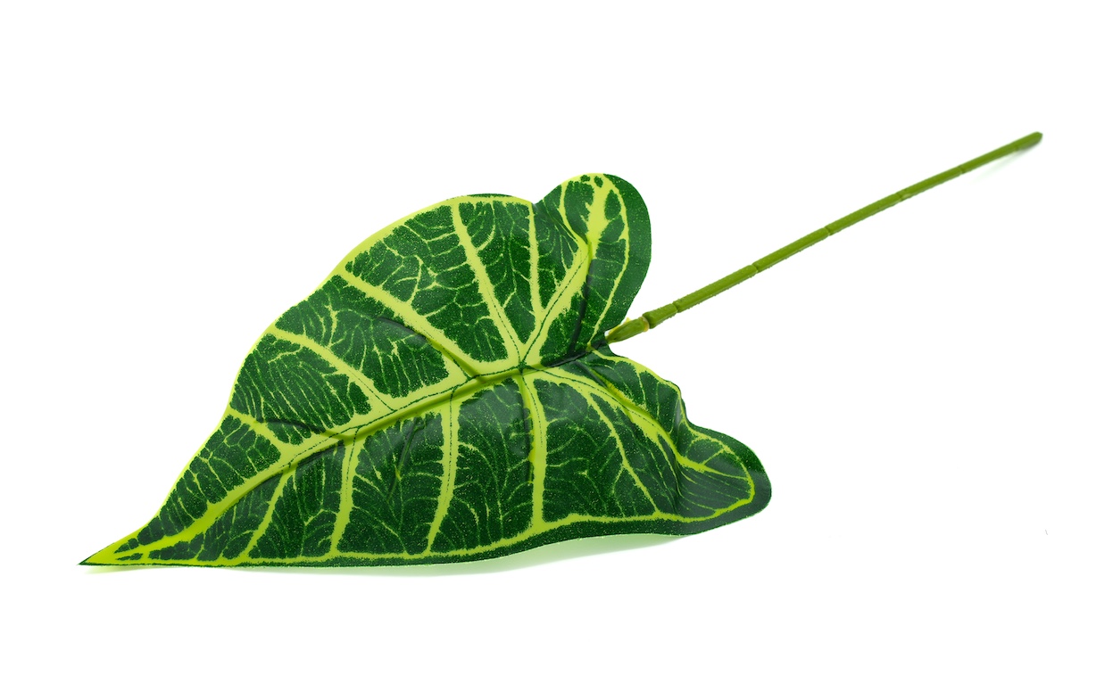 LIŚĆ DODATEK-KWL268 2