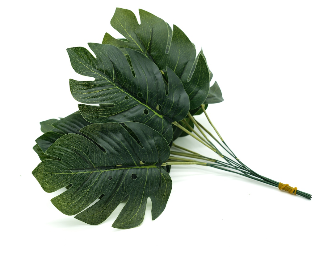 LIŚĆ MONSTERY MAŁY-KWL258 1