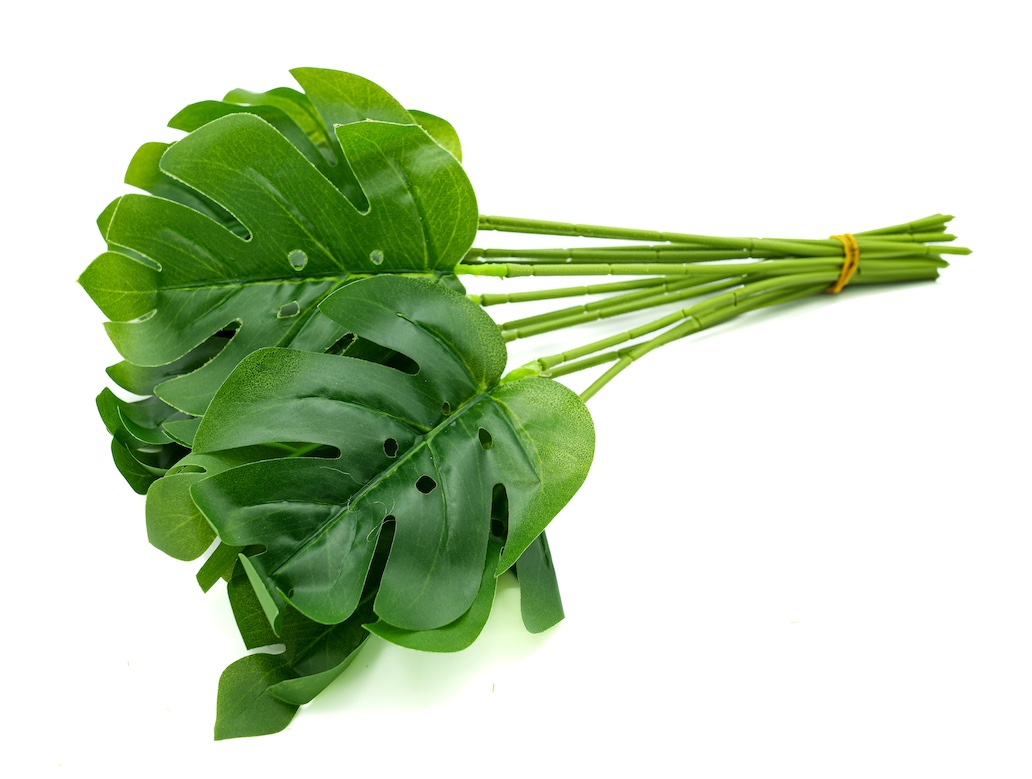 LIŚĆ MONSTERY-KWL274 1