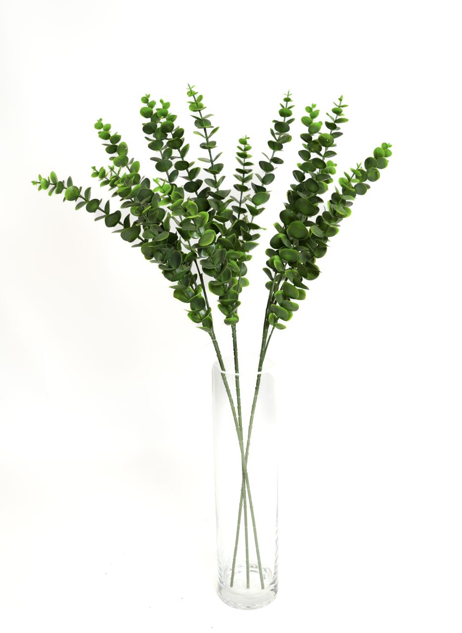 GAŁĄZKA EUKALIPTUS - KWO1317 1