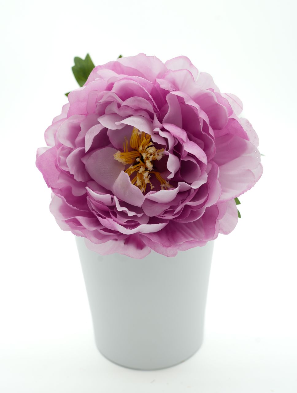 PIWONIA  POJEDYŃCZA  MIX KOLOR - KWZ1481-W 1