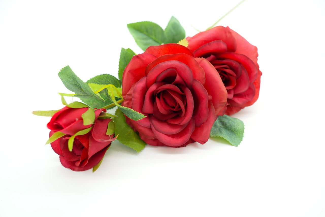 RÓŻA GAŁĄZKA CZERWIEŃ  - KWO2554-8 1