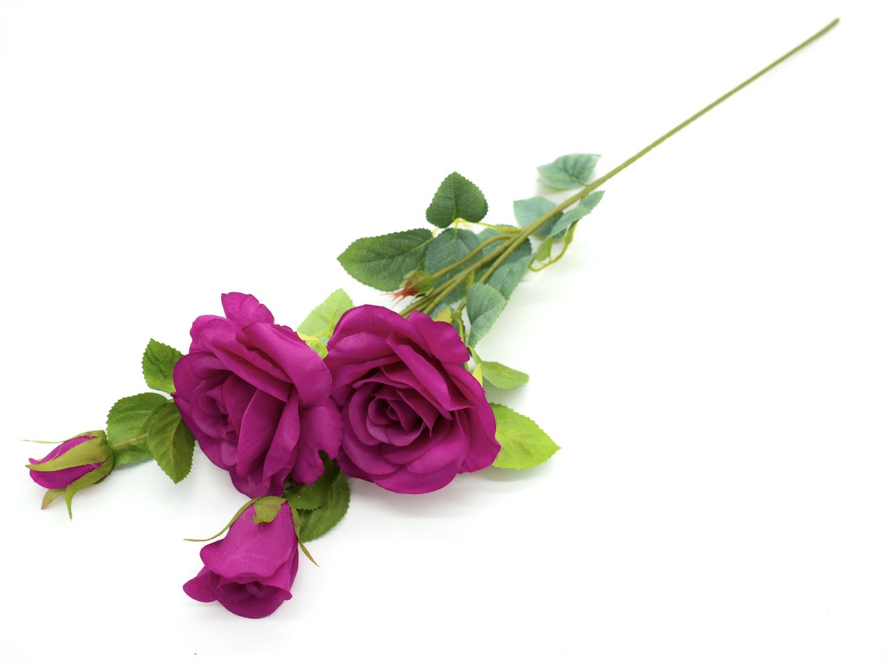 RÓŻA GAŁĄZKA MAGENTA  - KWO2554-6 1