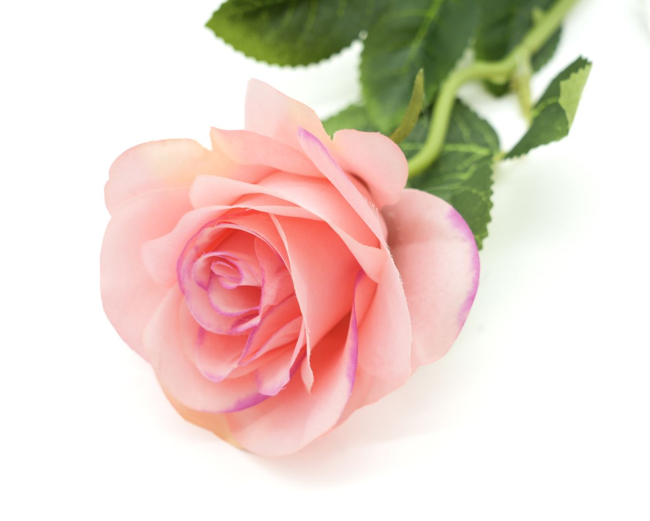 RÓŻA POJEDYŃCZA JASNY RÓŻ - KWO2552-5 1