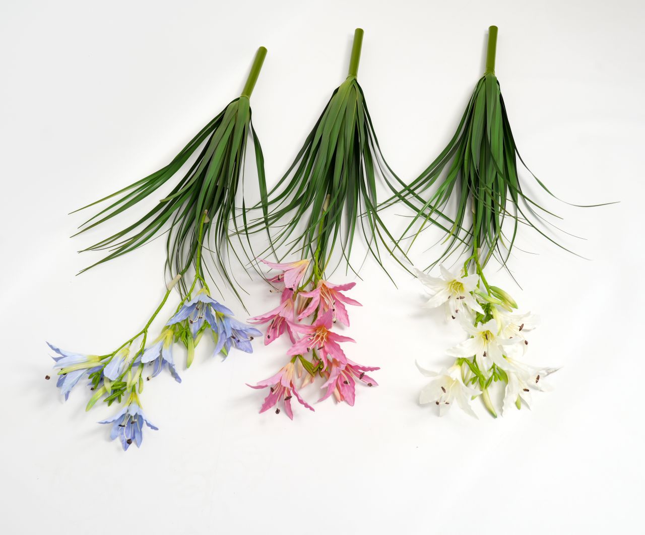 TRaWA KWITNĄCA - KWO2265 1