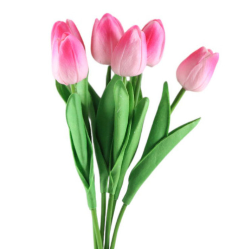 Wiosenne kwiaty - już są 2