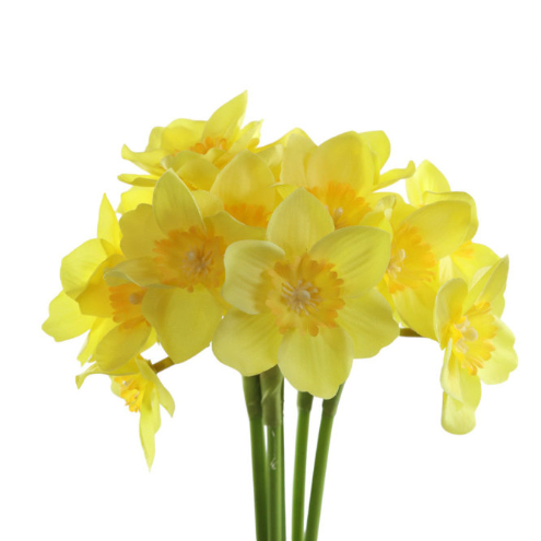 Narcyzy – wiosenne słońce w ogrodzie 1