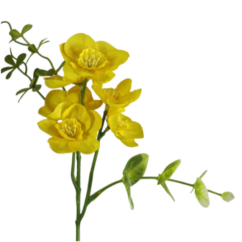 Narcyzy – wiosenne słońce w ogrodzie 2