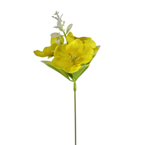 Narcyzy – wiosenne słońce w ogrodzie 3