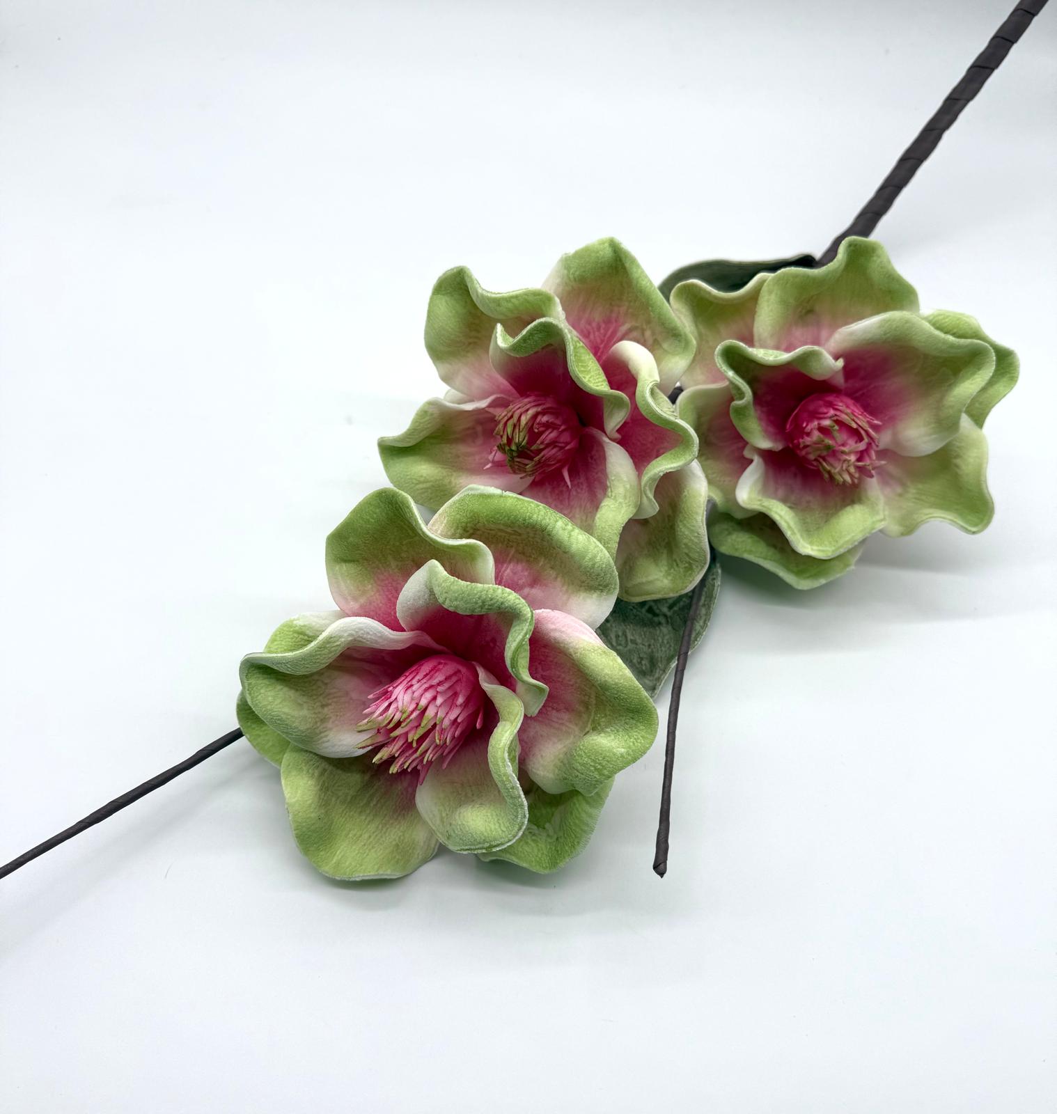 KWIAT PIANKA MIX KWZP000103 1