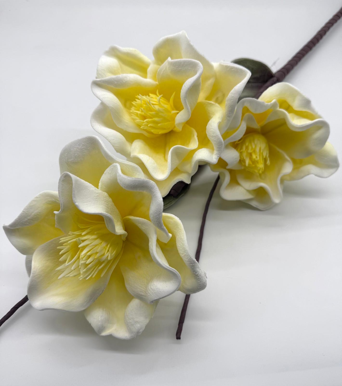 KWIAT PIANKA MIX KWZP000103 5