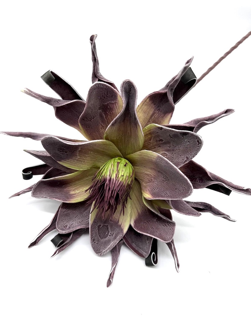 KWIAT PIANKA MIX KWZP000108 2