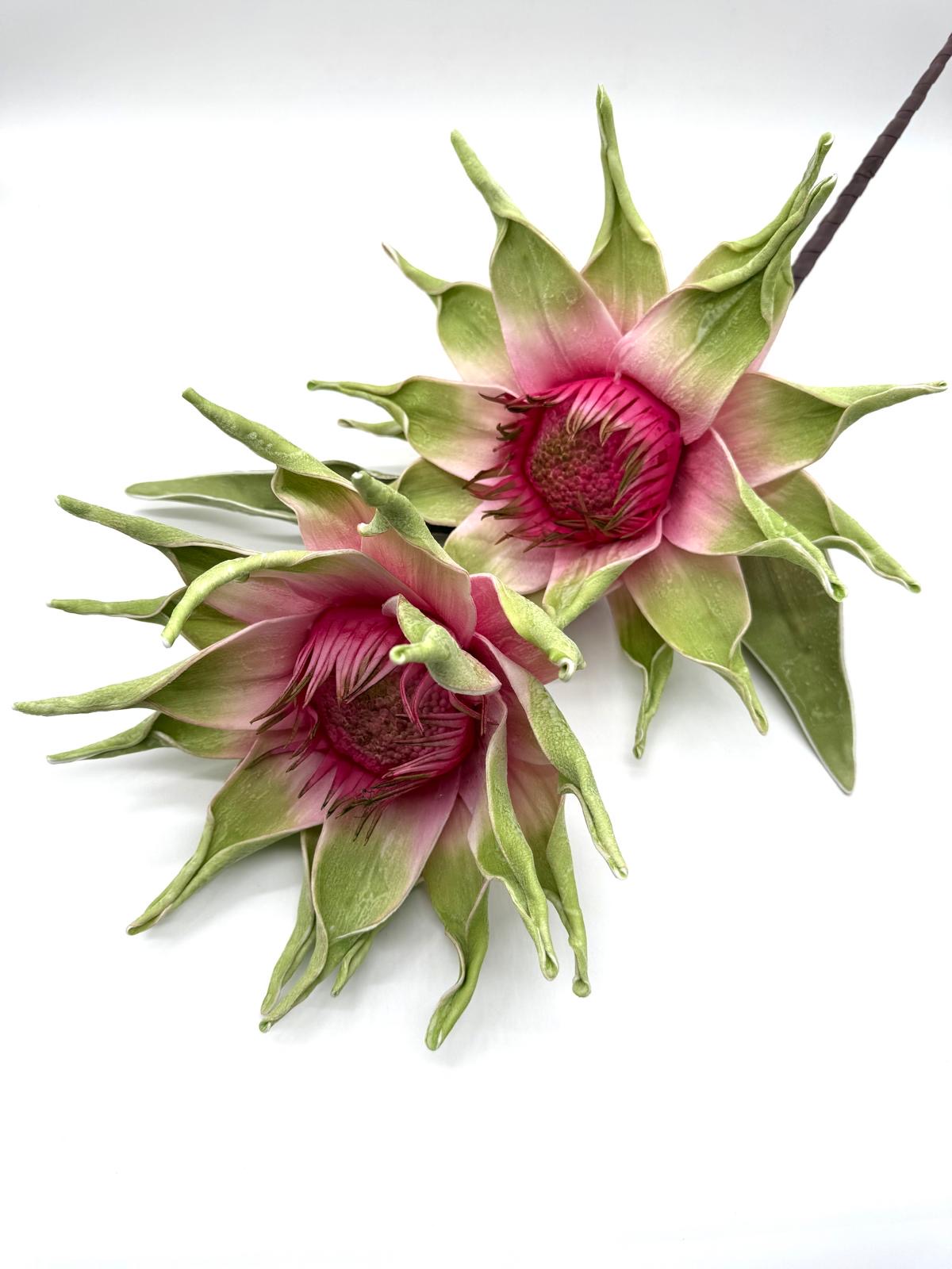 KWIAT PIANKA MIX KWZP000109 5