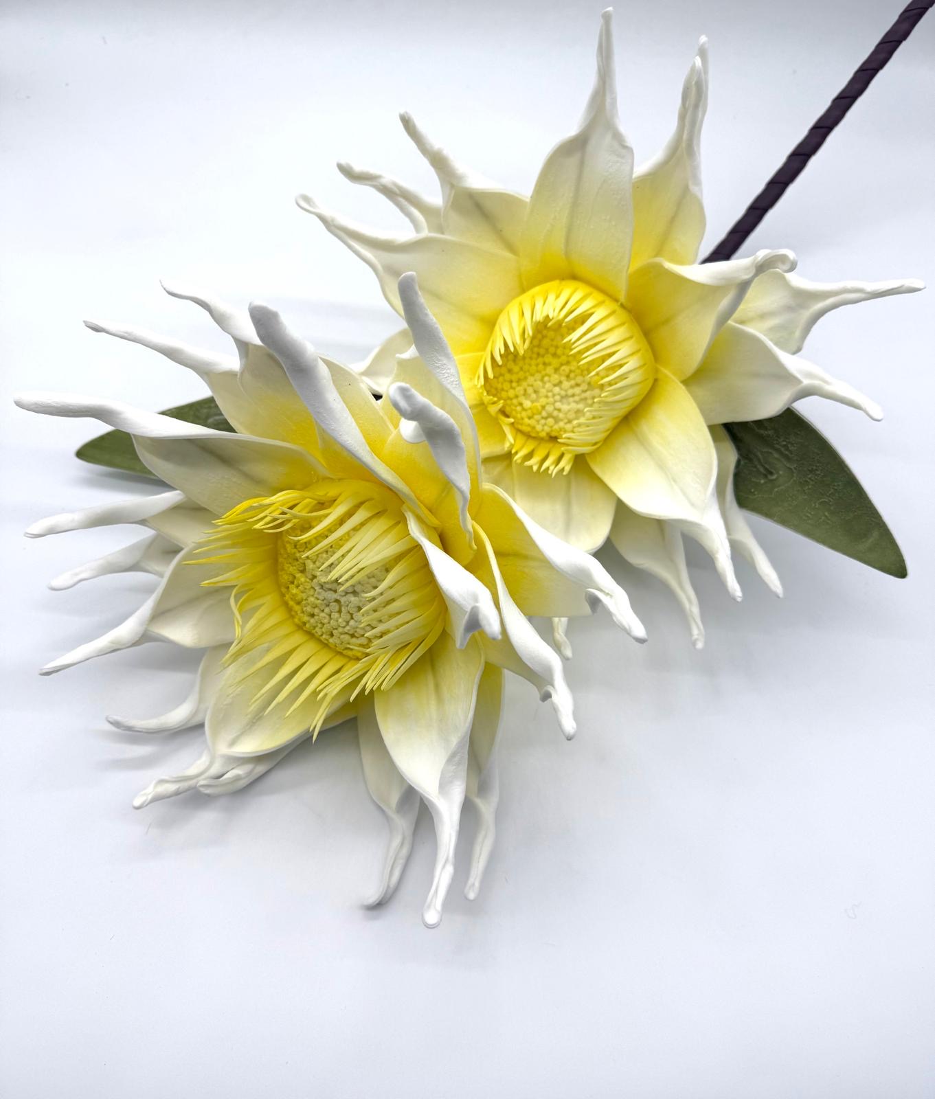 KWIAT PIANKA MIX KWZP000109 4