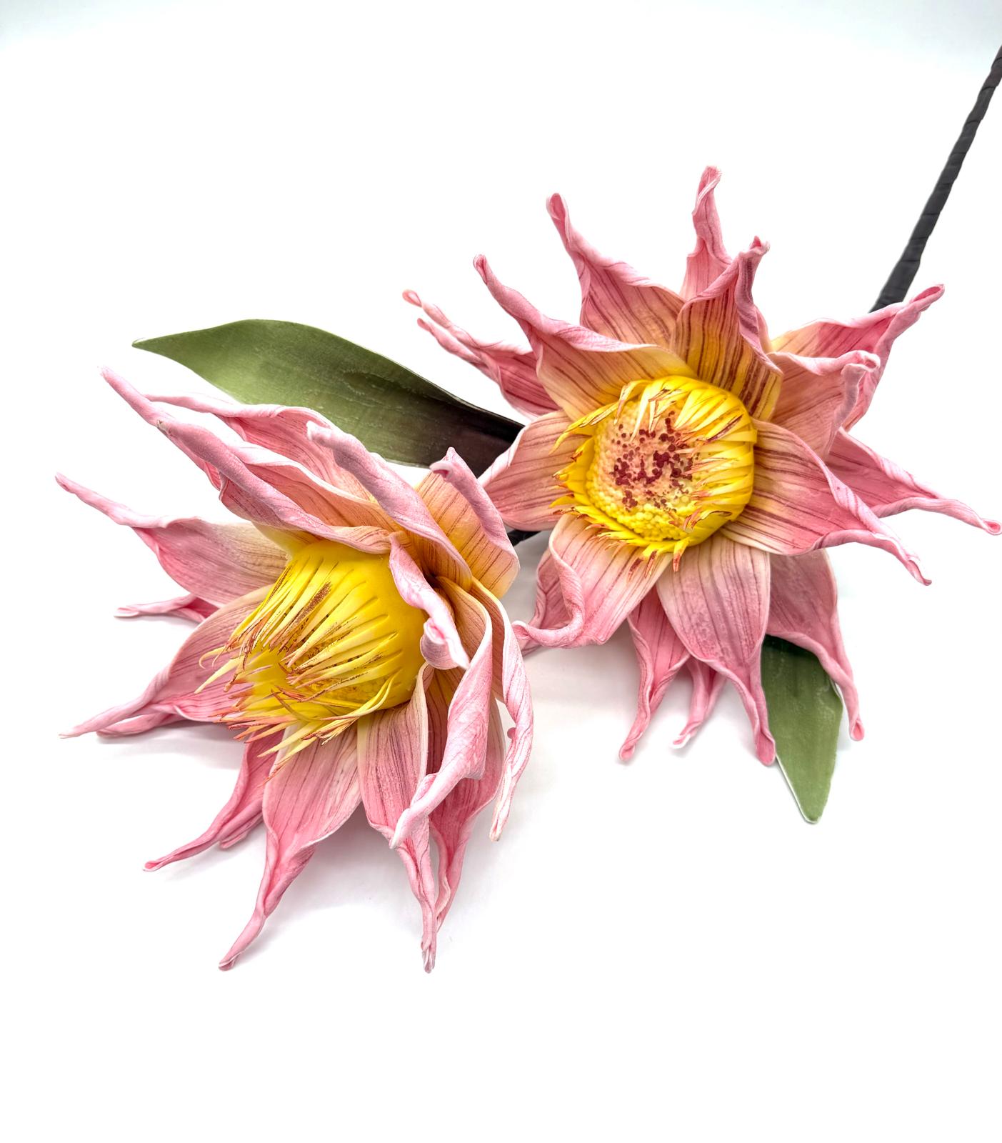 KWIAT PIANKA MIX KWZP000109 3