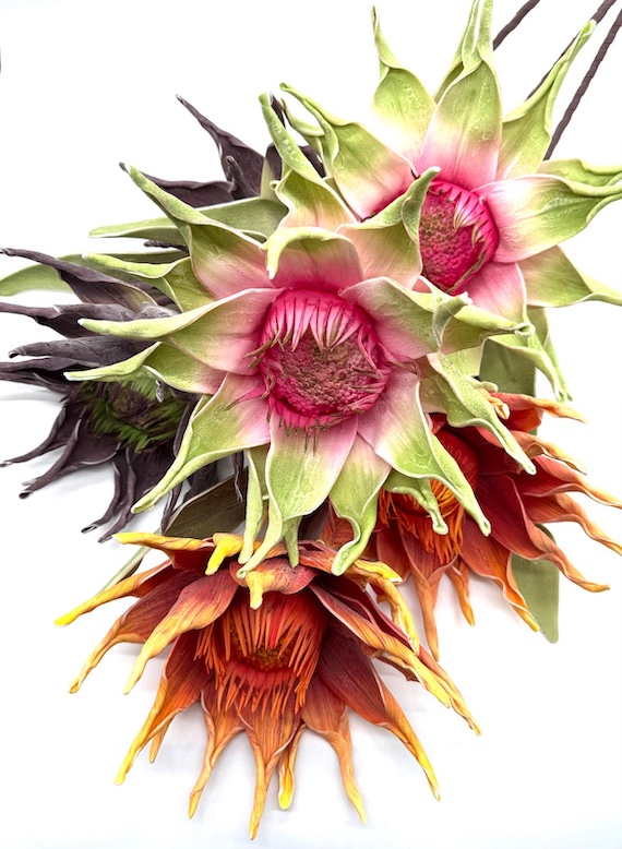 KWIAT PIANKA MIX KWZP000109 1