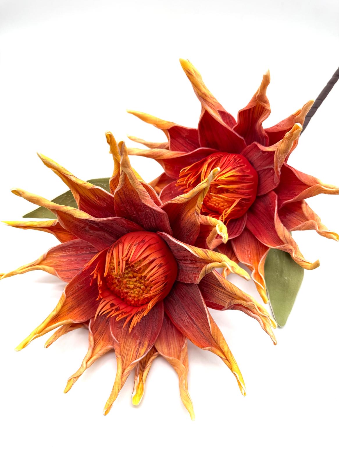 KWIAT PIANKA MIX KWZP000109 2