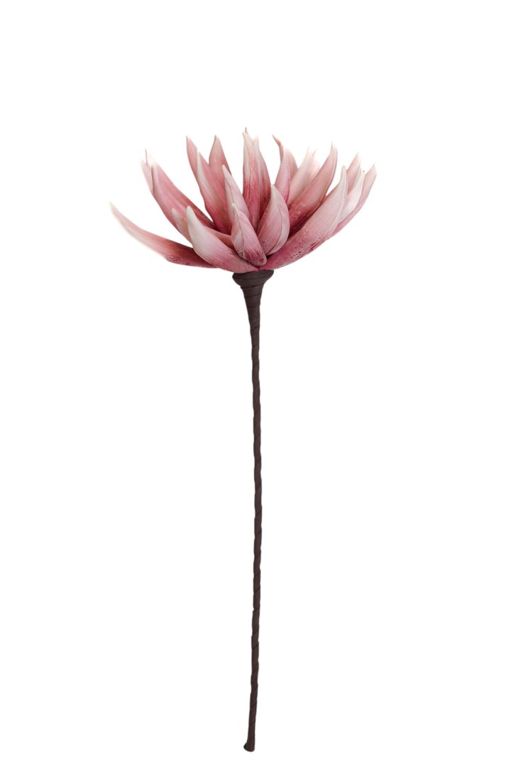 KWIAT PIANKA - KWZ1236-MIX1 1