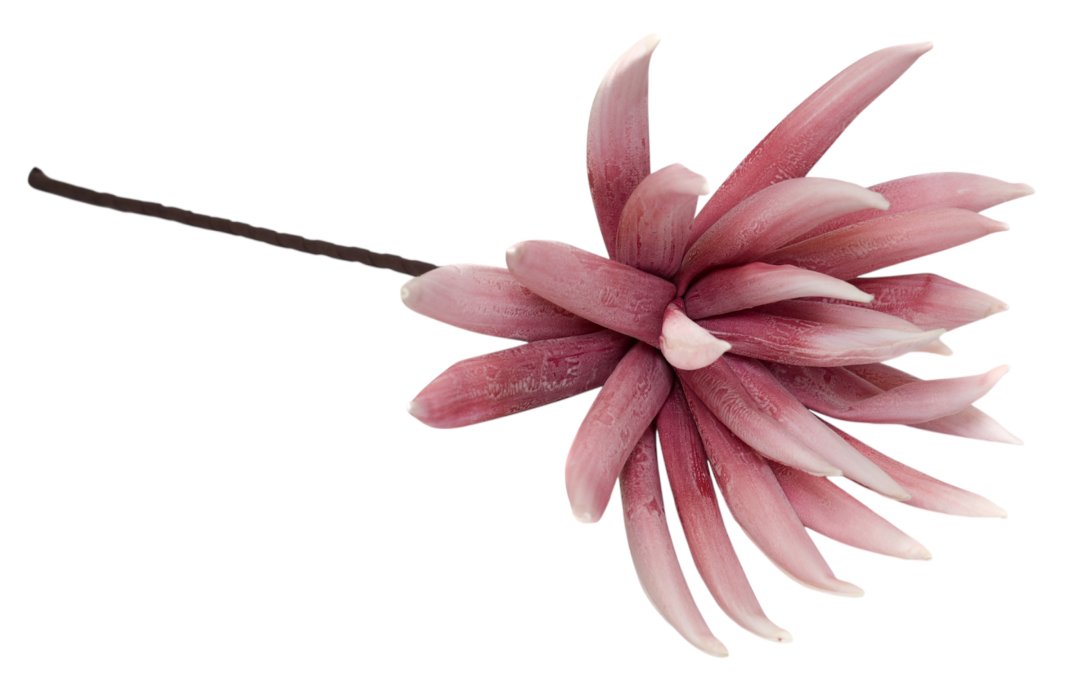 KWIAT PIANKA - KWZ1236-MIX1 1